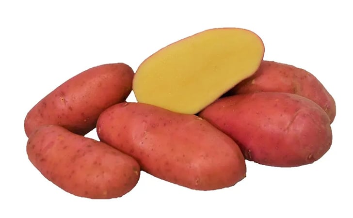 POMROLL POMROLL