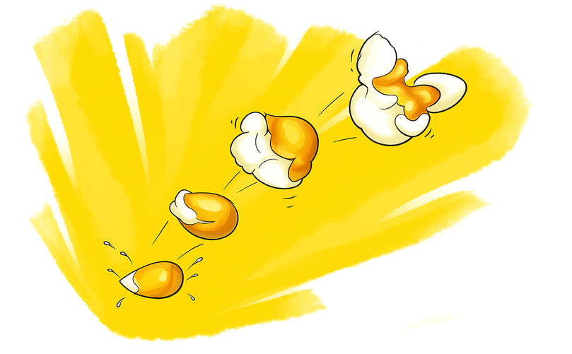 Popcorn kernel popping process Popcorn kernel popping process
