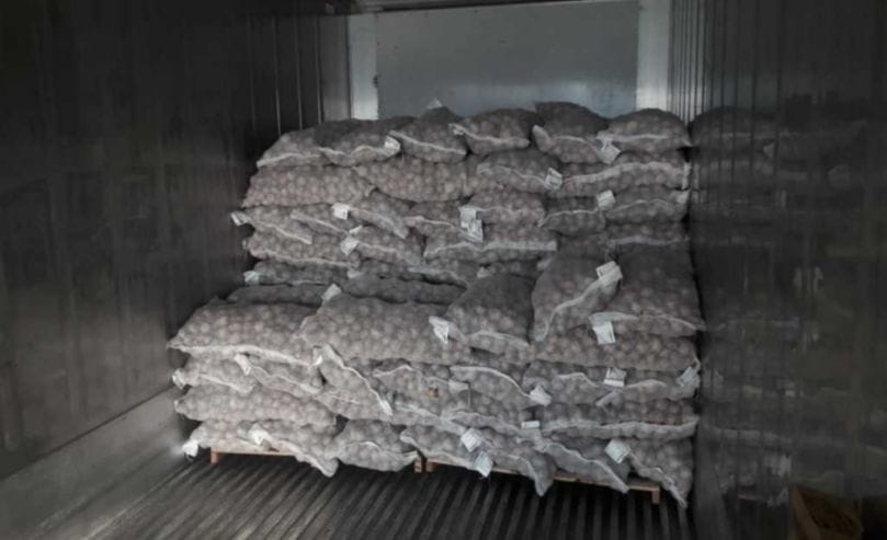 Por 5.º año seguido, Argentina exporta papa semilla a Vietnam