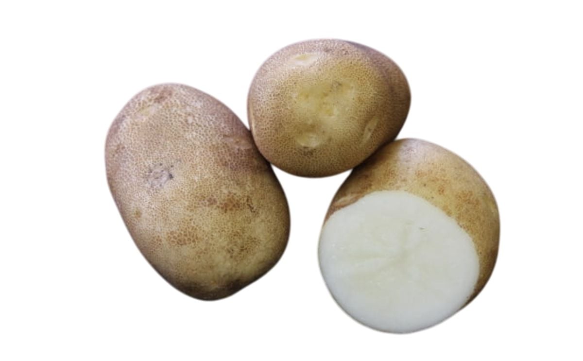 POROSHIRI POROSHIRI