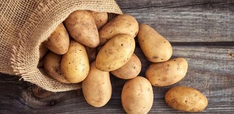 7 supermarkets sign up for 100% robust potatoes in an organic range