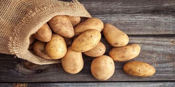 Porbatata wants to increase potato production  in Portugal by 20% in the next two years