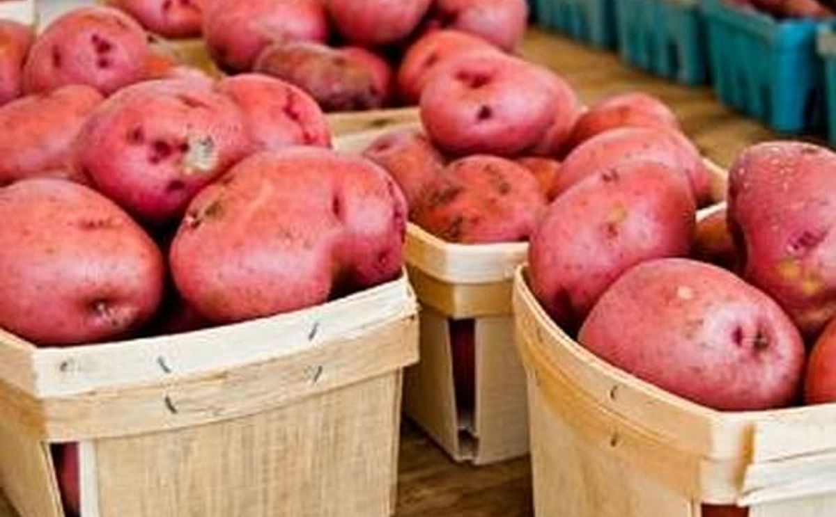 Potandon Produce Begins Shipping Potatoes Out Of Arizona