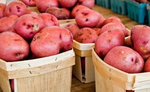 Potandon Produce Begins Shipping Potatoes Out Of Arizona Potandon Produce Begins Shipping Potatoes Out Of Arizona