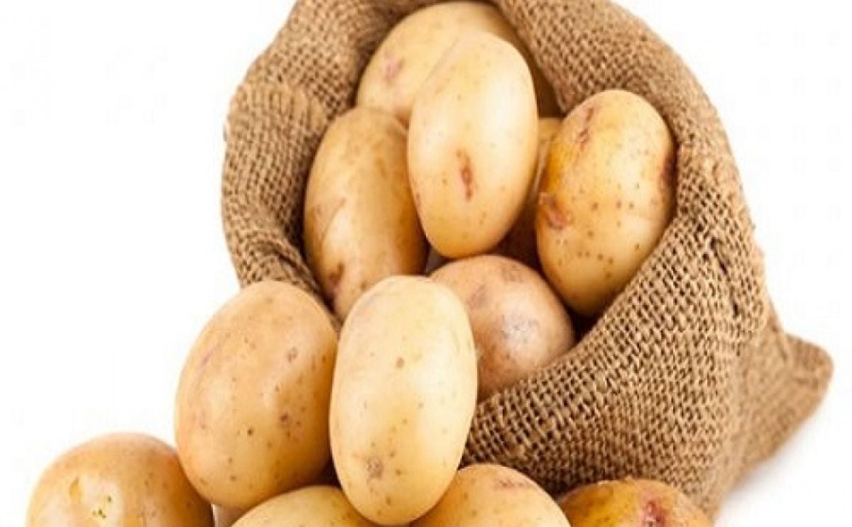 Disease resistant potato seeds launched in Dedza Disease resistant potato seeds launched in Dedza