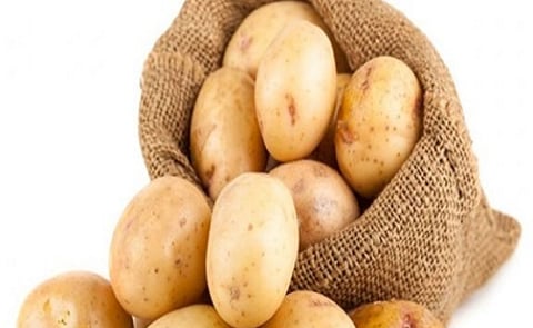 Disease resistant potato seeds launched in Dedza Disease resistant potato seeds launched in Dedza