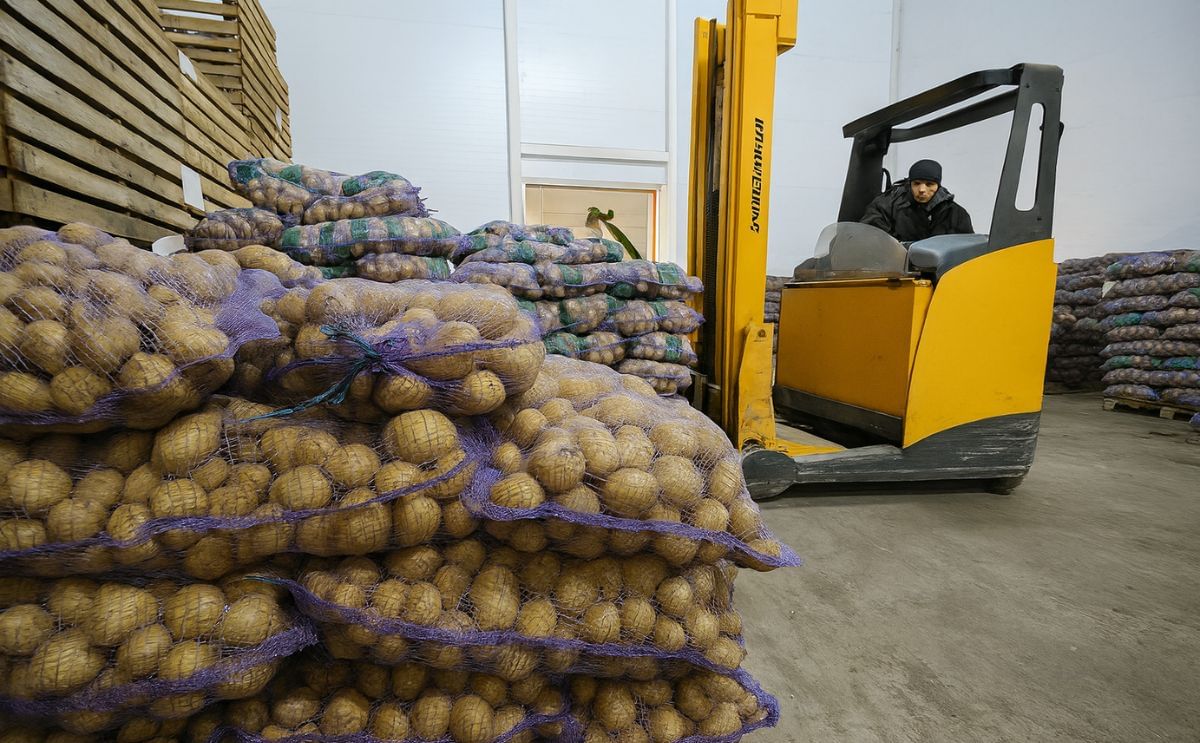 Potato bags pallets