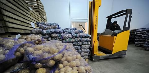 Bagged Potatoes on pallets (Courtesy Itar-Tass)
