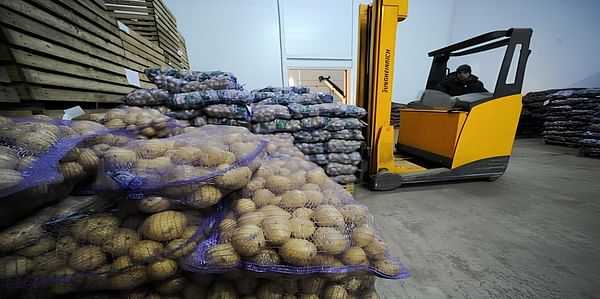 Bagged Potatoes on pallets (Courtesy Itar-Tass)