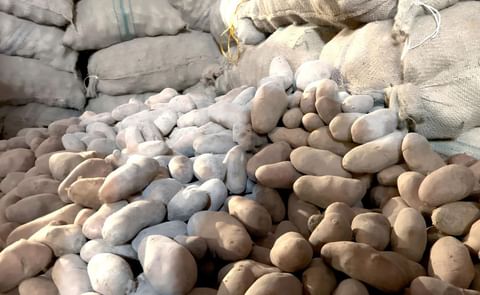 Potatoes in Bangladesh Potatoes in Bangladesh