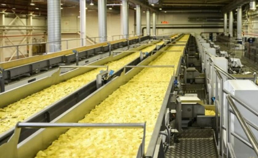 Rusia: La superficie plantada de papas para chips alcanza las 19 mil hectáreas.