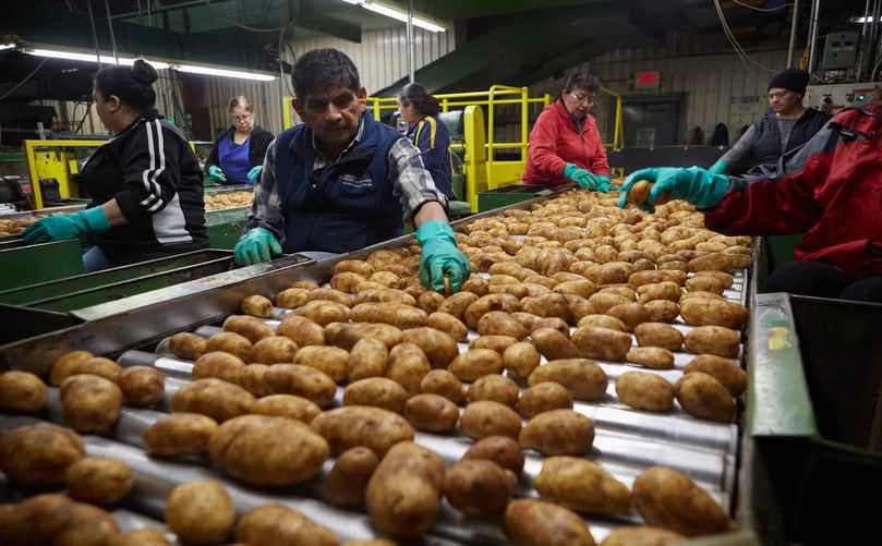 Optical Sorters and Inspection Systems at Work Optical Sorters and Inspection Systems at Work