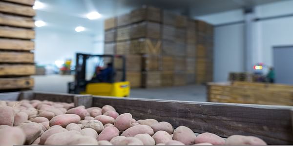 How Agra became India's cold storage hub and what impact it has on price of potatoes