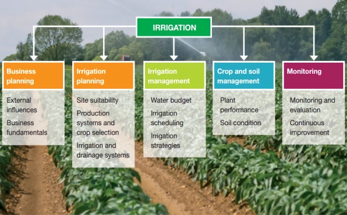 Irrigation best practice guide for potatoes published Irrigation best practice guide for potatoes published