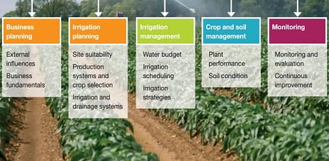 Irrigation best practice guide for potatoes published