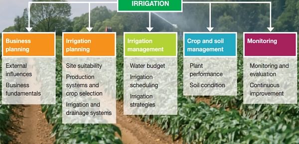 Irrigation best practice guide for potatoes published