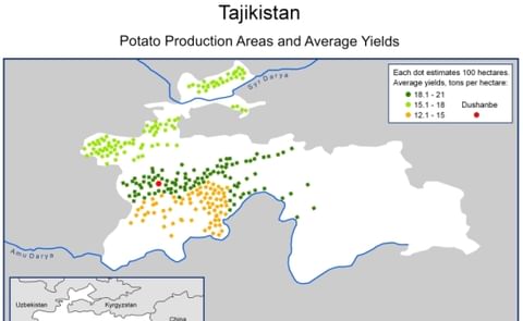 Russian company ready to supply elite and super elite potato seeds to Tajikistan Russian company ready to supply elite and super elite potato seeds to Tajikistan