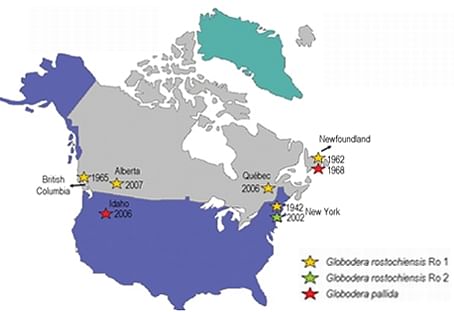 Occurrence of potato cyst nematodes Globodera rostochiensis and G. pallida, in North America (Courtesy: fruit and veggie)  