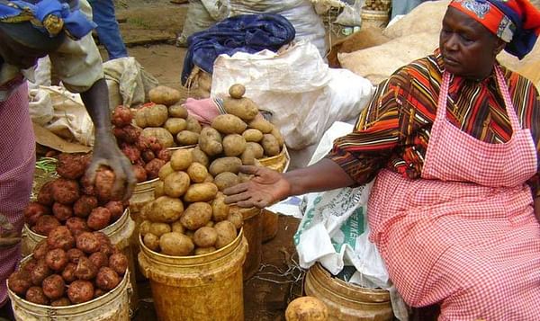 Kenya: Potato imports by fast-food firms to attract 30pc duty.