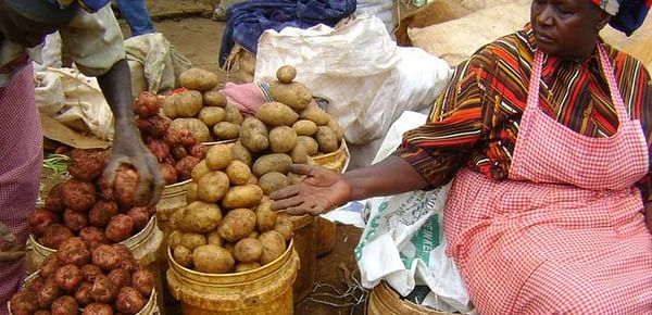 Kenya: Potato imports by fast-food firms to attract 30pc duty.