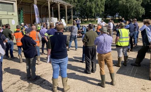 Potato Day Potato Day