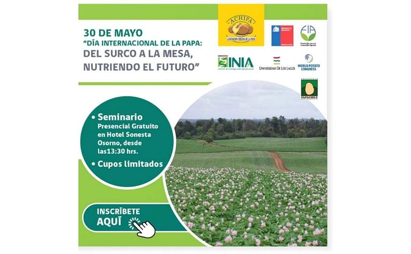 Asistentes al evento nacional de ACHIPA participan en exhibiciones tecnológicas, demostraciones culinarias y debates sobre el rol de la papa en la soberanía alimentaria de Chile.