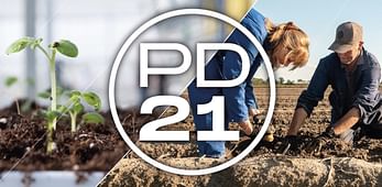 Potato Days 2021 Live