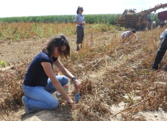 An EPA Staffer tries her luck at digging potatoes at Jim Coombs Farms An EPA Staffer tries her luck at digging potatoes at Jim Coombs Farms