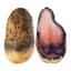 Defects and Diseases