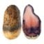 Defects and Diseases