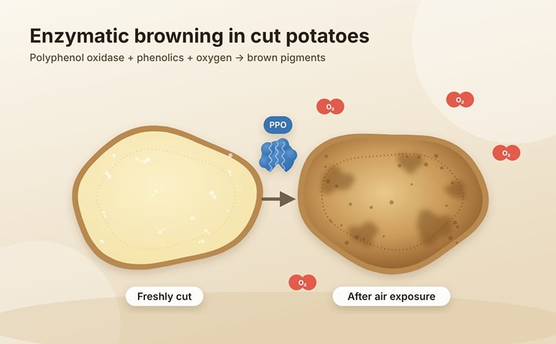 From Processing to Biorefining From Processing to Biorefining
