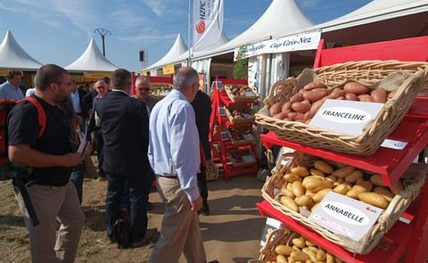 Este año se espera que la cifra de visitantes alcance las 15.000 personas. Este año se espera que la cifra de visitantes alcance las 15.000 personas.