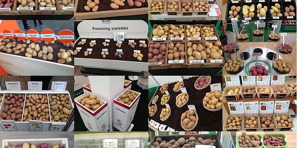 'Organic Potatoes Meeting Point' at PotatoEurope 2018 to showcase practical solutions for organic potato cultivation