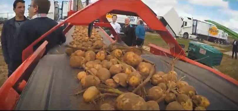 Potato Europe 2019 - aftermovie 2019 Potato Europe 2019 - aftermovie 2019