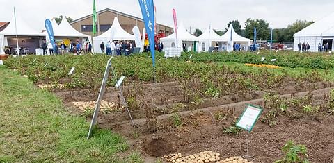 POTATO EUROPE 2019 Expected to be a Real Success!