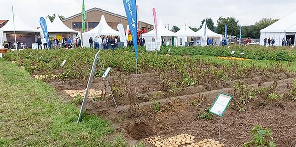 POTATO EUROPE 2019 Expected to be a Real Success!