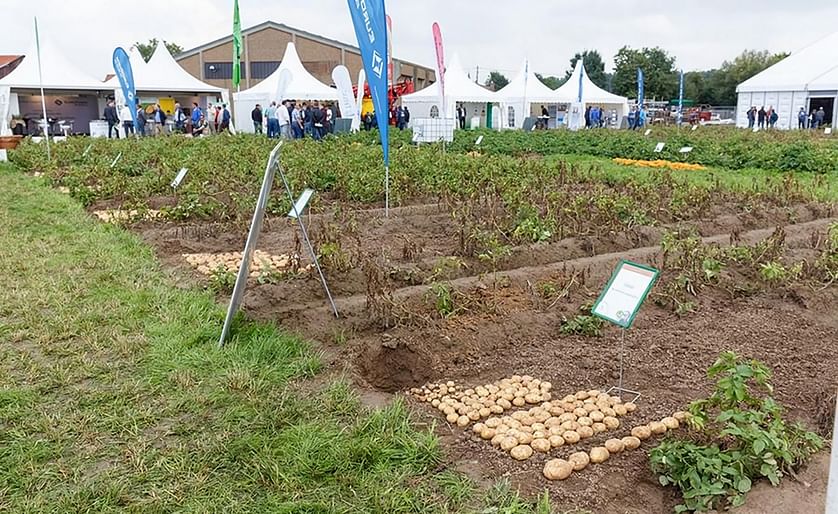 POTATO EUROPE 2019: With less than three weeks to go, time for an update!