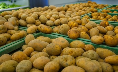 China is keen on building stronger socio-economic ties with Pakistan and is interested in importing more from the country, said Chinese Ambassador Yao Jing, including potatoes China is keen on building stronger socio-economic ties with Pakistan and is interested in importing more from the country, said Chinese Ambassador Yao Jing, including potatoes