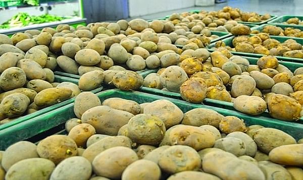 China wants to buy cherries, potato and wheat from Pakistan