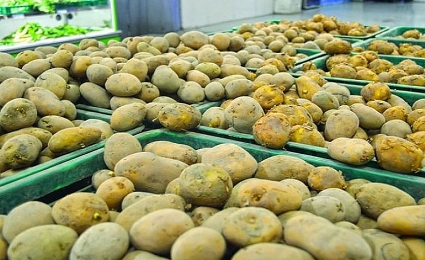 China is keen on building stronger socio-economic ties with Pakistan and is interested in importing more from the country, said Chinese Ambassador Yao Jing, including potatoes