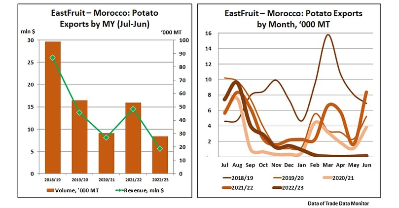 Moroccan potato exports