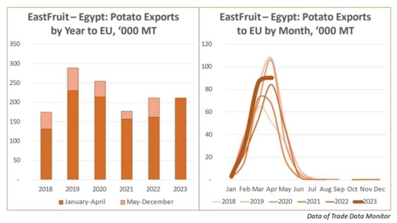 Graphical Representation of Potato Exports to EU