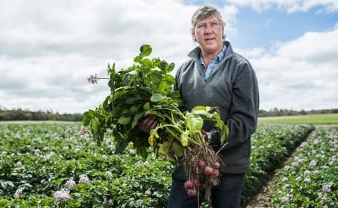 Summer rain boosts seed potato harvest in New South Wales after years of drought Summer rain boosts seed potato harvest in New South Wales after years of drought