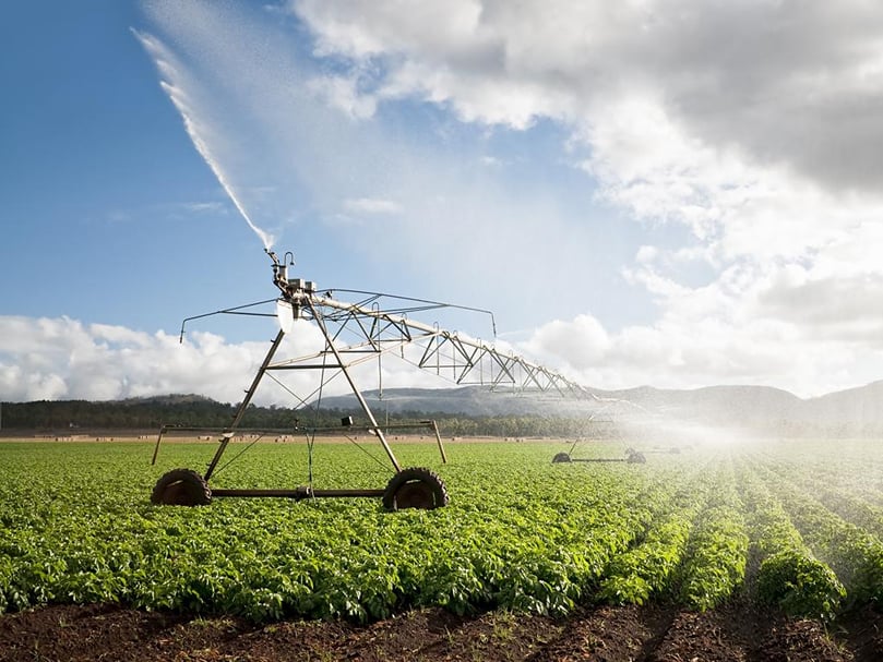 Potato farmers have had an ‘extremely hard year’ due to persistent rain and flooding, Clarkes Hill’s Rod Guthrie said. Potato farmers have had an ‘extremely hard year’ due to persistent rain and flooding, Clarkes Hill’s Rod Guthrie said.
