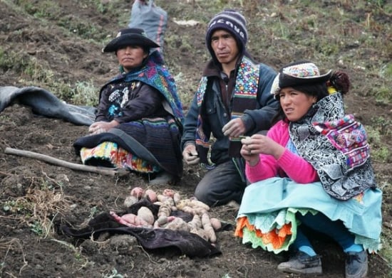 Potato Farmers in the Andes Potato Farmers in the Andes