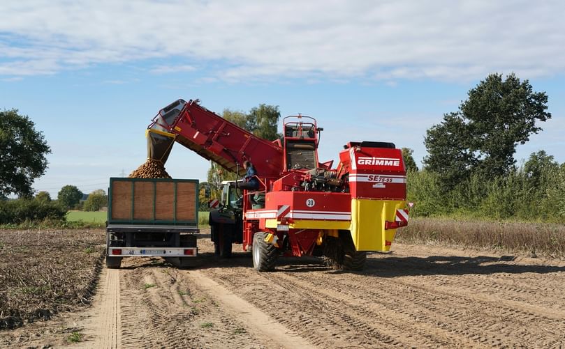 Self-Propelled Potato Harvester Unloading into Trailer