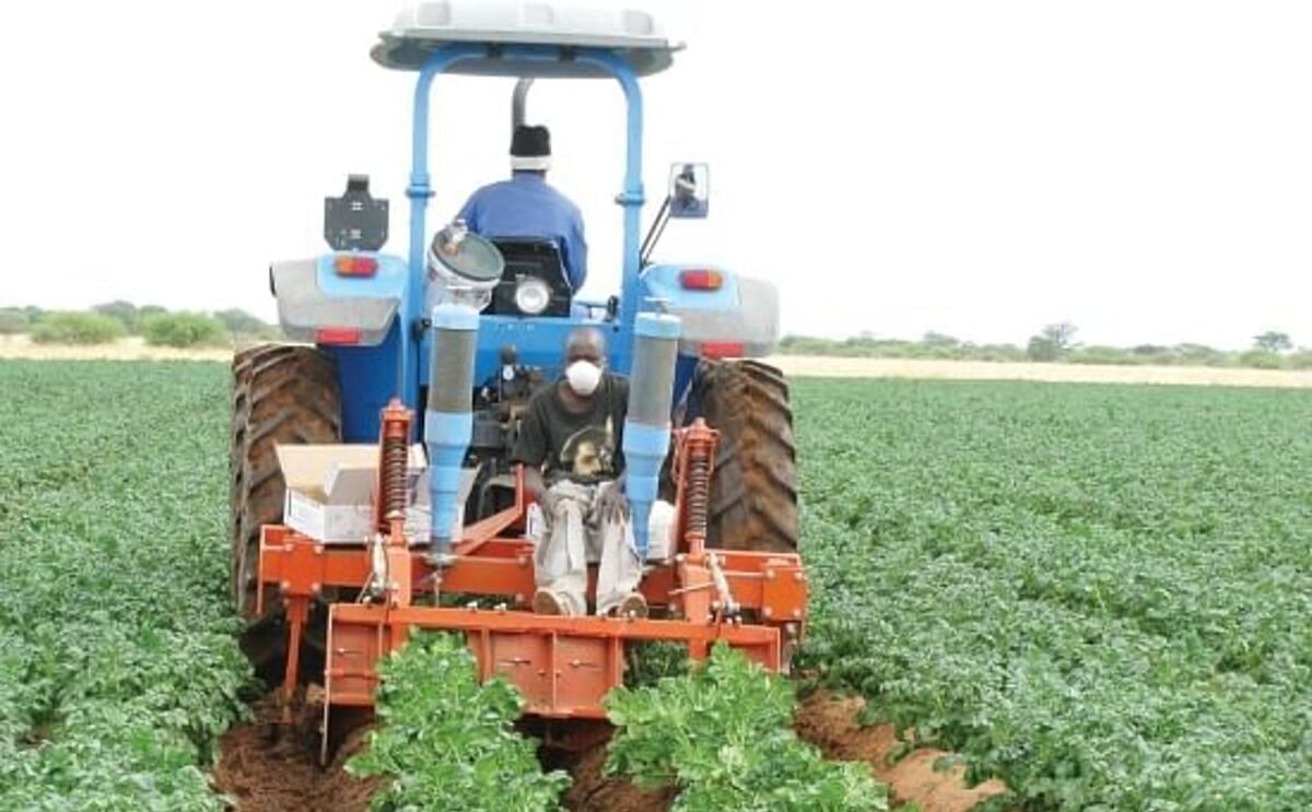 Potato Farming in Namibia (Cando Farming) Potato Farming in Namibia (Cando Farming)