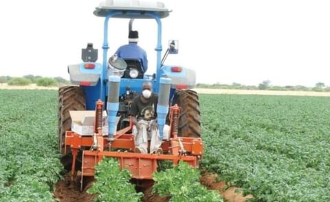 Namibia promotes local potato production Namibia promotes local potato production