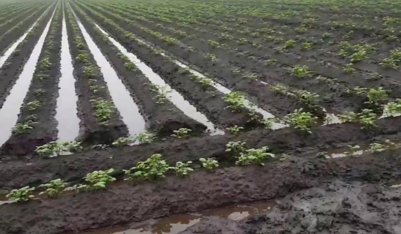 Buiten het Verenigd Koninkrijk hadden alle NEPG landen last van waterschade gedurende de laatste weken (Courtesy: @gerritgaatjes / twitter) Buiten het Verenigd Koninkrijk hadden alle NEPG landen last van waterschade gedurende de laatste weken (Courtesy: @gerritgaatjes / twitter)