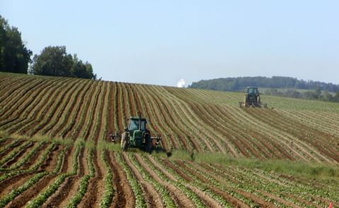 Maine potato growers take hit on price in new contract Maine potato growers take hit on price in new contract